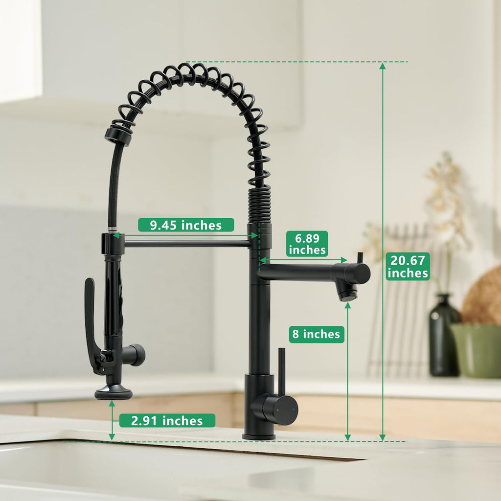 Fapully Black Kitchen Faucet,Commercial Pull Down Kitchen Sink Faucet with Sprayer