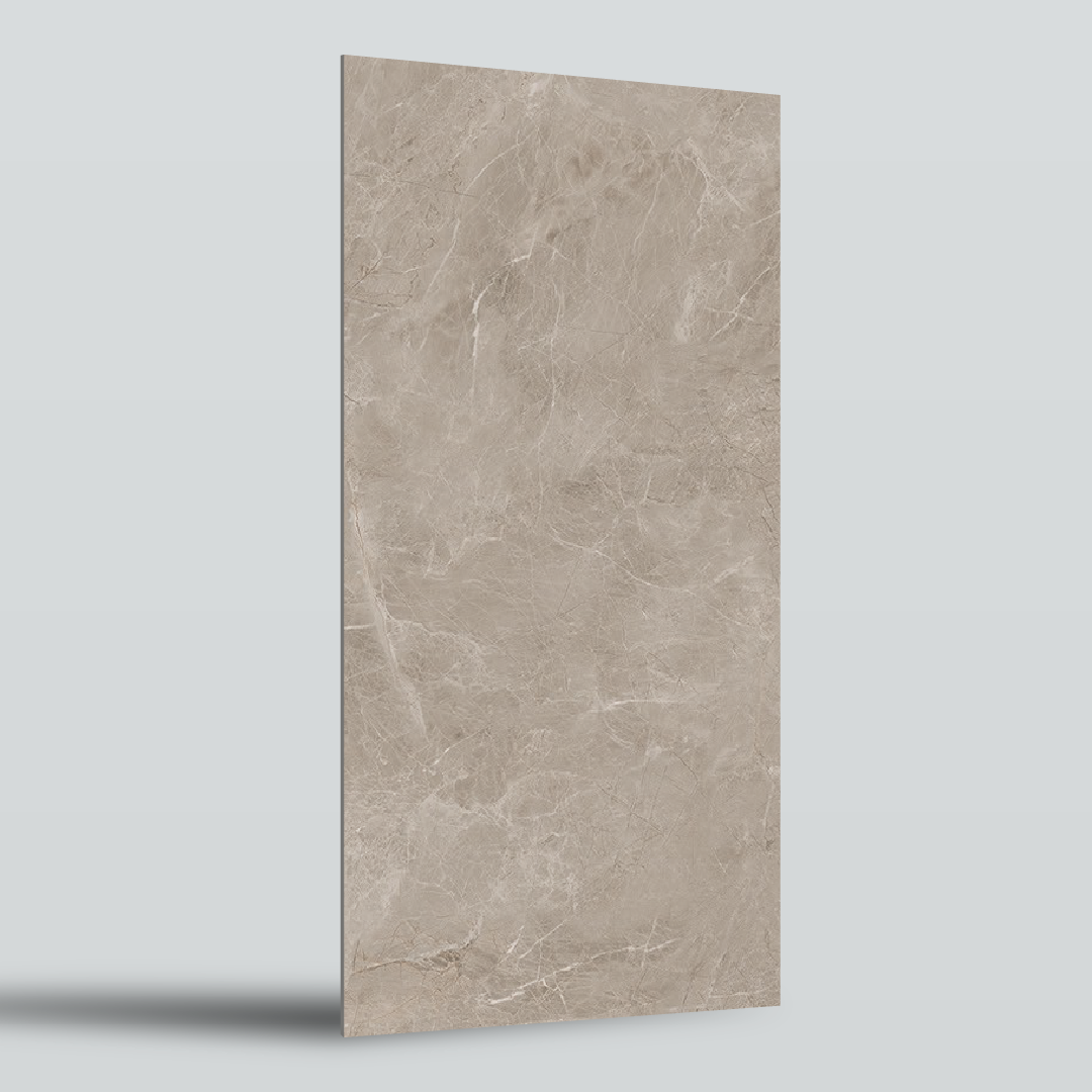 PORCELANATO APOLO MUD MATT 60X120 CM